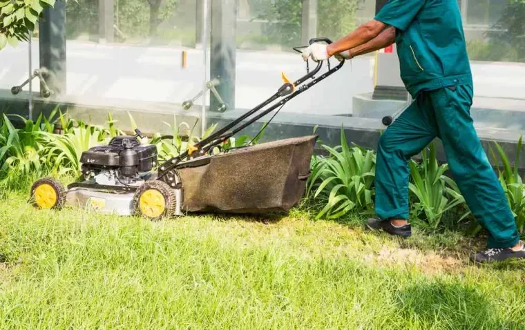 Entretien de jardin à Saint-Meloir-des-Ondes