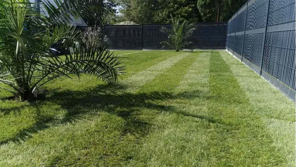 travaux-engazonnement-massifs-saint-malo-anthony-thomas-paysage