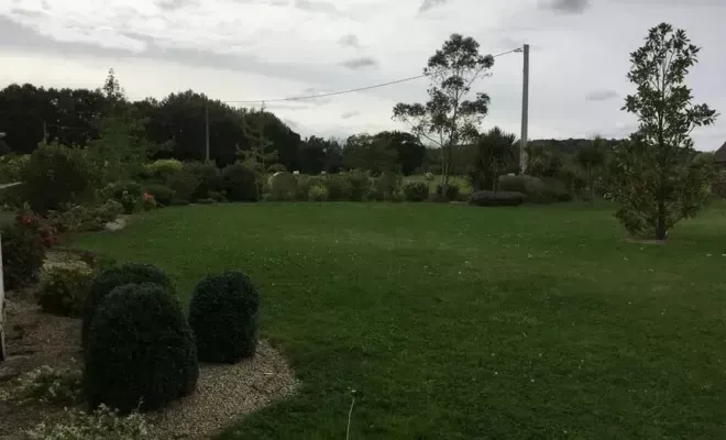 taille-haies-tonte-pelouse-saint-malo-anthony-thomas-paysage