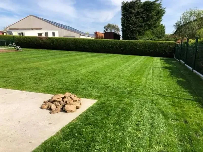 taille-haies-tonte-pelouse-saint-malo-anthony-thomas-paysage