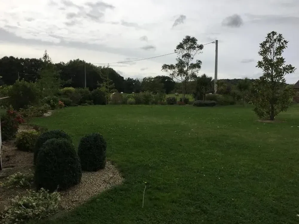 taille-haies-tonte-pelouse-saint-malo-anthony-thomas-paysage